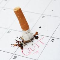 3 idei de afaceri pentru 2012, 3 afaceri profitabile si de viitor sigur!