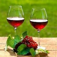 Productii bune la vin pentru 2013