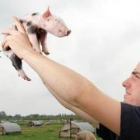 Fonduri europene pentru afaceri in agricultura, destinate tinerilor fermieri!