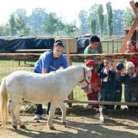 Afaceri de exceptie - ferma animalelor pentru copii