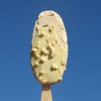 Afaceri geniale: Gelaterie mobila!