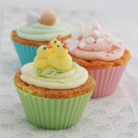 Cupcake-uri, afacere pentru viitor