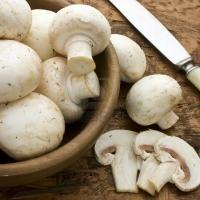 Afaceri cu Champignon - pentru ca banii tai sa se inmulteasca precum ciupercile dupa ploaie