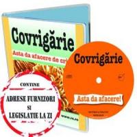 Afaceri pe timp de criza? Iata 6 idei atragatoare!