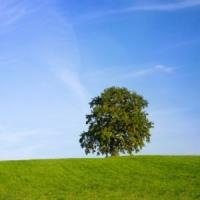 Simplifica-ti viata cu aceste reguli de aur!