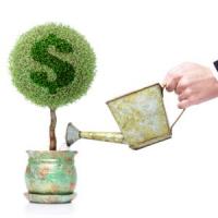 5 idei de afaceri cu bani putini in anul 2014, afaceri profitabile in Romania!