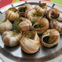 O afacere ciudata dar tare banoasa: Fa-ti ferma de melci!