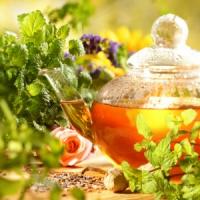 Idei de afaceri agricole in domeniul cultivarii plantelor medicinale