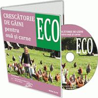 Crescatoria ECO de gaini - Afacerea care iti poate aduce profituri mari in 2013!