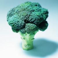 5 afaceri agricole de succes extrem in 2014!