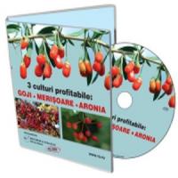 Succes in afaceri: Cum sa obtii profit urias din Goji
