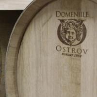 Afaceri de succes in Romania: 7,5 milioane de litri de vin de calitate si planuri de dezvoltare
