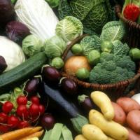 Victor Ponta: Agricultura a devenit componenta competitiva a economiei nationale