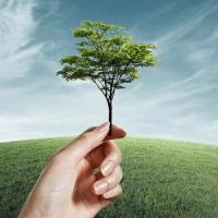O posibila solutie pentru cresterea randamentului productiilor agricole