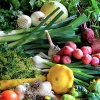 Tinerii, invitati la o competitie de idei de afaceri in agricultura