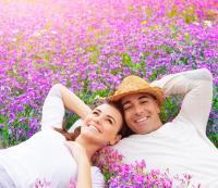 Dezvolta-ti propria afacere cu lavanda si culege succesul