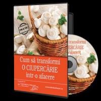 3 idei de afaceri in 2014, cu ghiduri orientative!