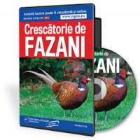 Cum se infiinteaza cu succes o crescatorie de fazani?