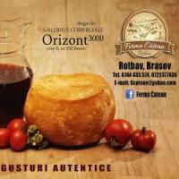 Afaceri de succes in Romania: Mostenirea fratilor Catean