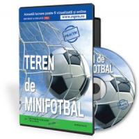 7 lucruri de stiut despre afacerea cu un teren privat de minifotbal!