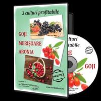 6 afaceri profitabile in 2014, gata sa fie demarate!
