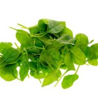 Afaceri de succes: Prima piata agro-alimentare cu produse exclusiv din productia locala