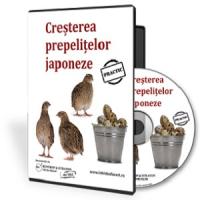 8 lucruri de stiut inainte de infiintarea unei ferme de prepelite!