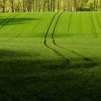 Prima masura in agricultura din alocarea 2014-2020 incepe pe 20 mai