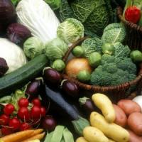Vesti bune pentru fermieri: TVA ZERO la produsele ecologice?