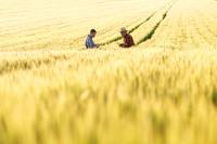 5 IDEI DE AFACERI CONEXE PENTRU ANTREPRENORII DIN AGRICULTURA