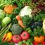 Idei de afaceri in agricultura, in 2012 sau 2013!