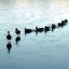 Secretele leaderilor de succes? Noi le avem!