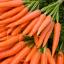 Afaceri la cheie in agricultura cu fonduri europene nerambursabile