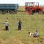 Afaceri agricole: 12.000 de fermieri romani vor beneficia de ajutor de la statul roman
