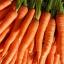 Cerinte generale in agricultura ecologica