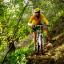 Idei de afaceri traznet? Parapanta, river rafting, mountain biking si nu numai!