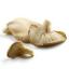 Idei de afaceri in 2012 - Cultivarea ciupercilor Pleurotus!