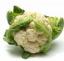 Idei de afaceri - cultivarea conopidei in sistem ecologic