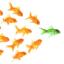 Top 5 calitati pentru un leader de succes!