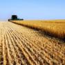 Inca 200 lei pentru agricultori pentru fiecare hectar cultivat la toamna