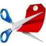 Idei de afaceri online de viitor, proiecte pentru cei ce detin capital mediu de investitii in 2012!