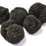 Afaceri profitabile cu trufe negre sau cu diamante negre!