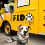 Fido to go si afacerile pe roti cu bunatati pentru caini