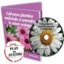 Colectia