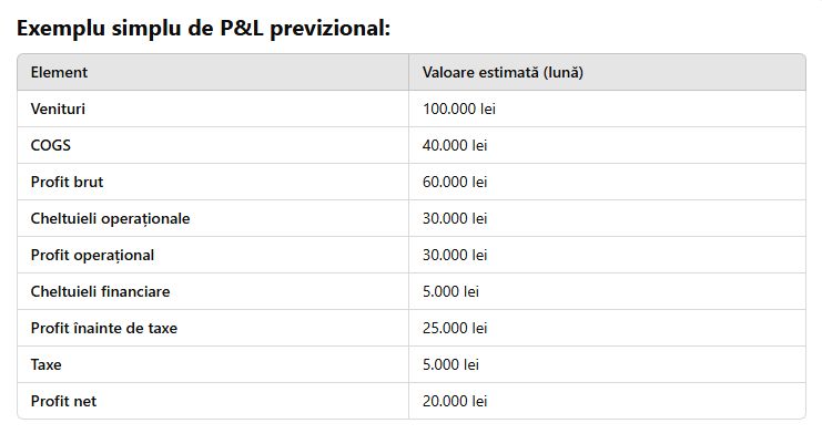 exemplu p&l