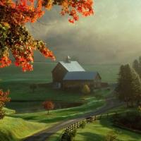 Top 6 afaceri profitabile cu ferme in Romania!