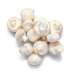 Cultivarea ciupercilor Champignon - Cum se face insamantarea?