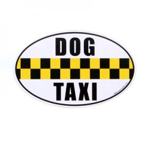 Afaceri noi pentru iubitorii de animale: taxi dog sau pet taxi!