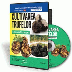 Trufele - Sursa ideala de profituri in viitor!