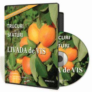 Trucuri si sfaturi pentru livada ta de vis - Un ghid de citit cu zambetul pe buze!